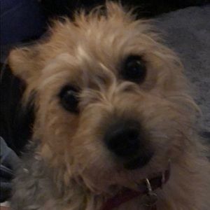 Meet your Posher, Tessa